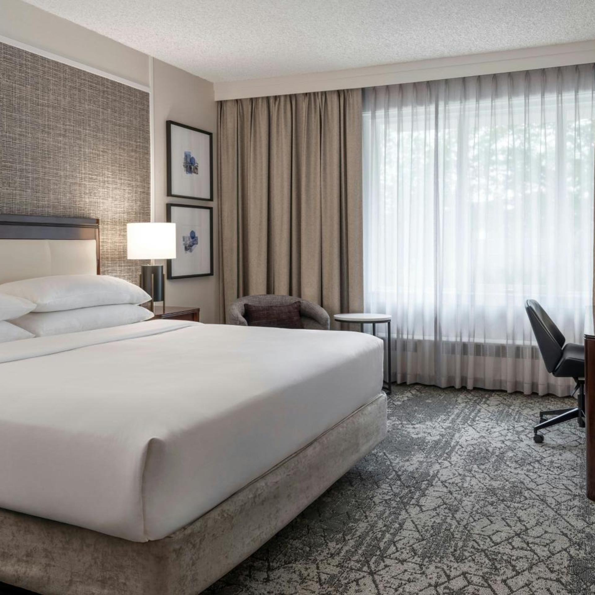Guest Room, Classic, King Bed