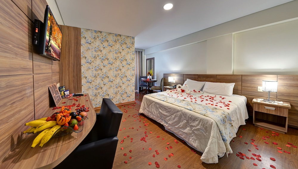 Porto Minas Hotel e Convencoes 17/71
