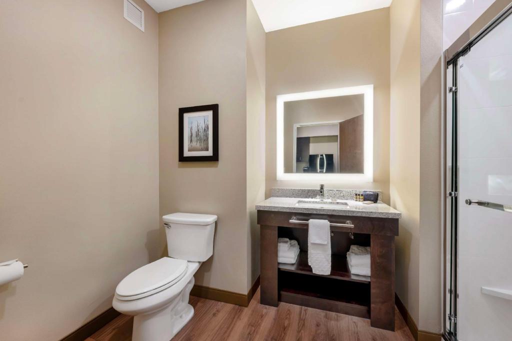 Suite, King Bed, Chaise Lounge, Kitchenette, Accessible