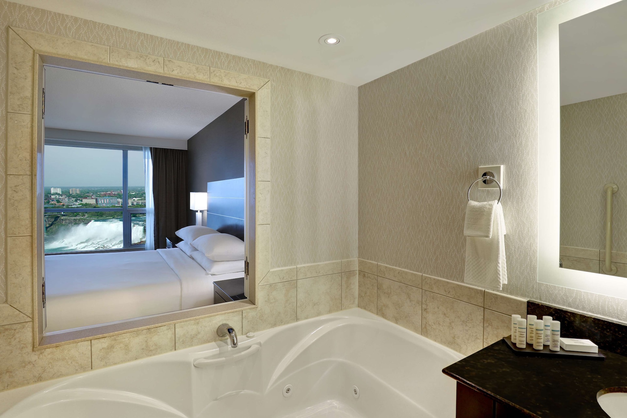 Premium, Suite, King Bed, Canadian Us Falls View, Sofa، Embassy Suites By Hilton Niagara Falls Fallsview 4/4