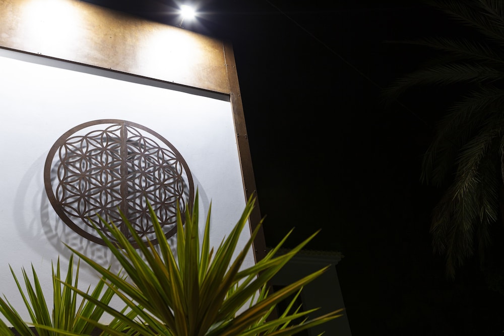 Ad Hoc Vitae Retreats & Health 7/20