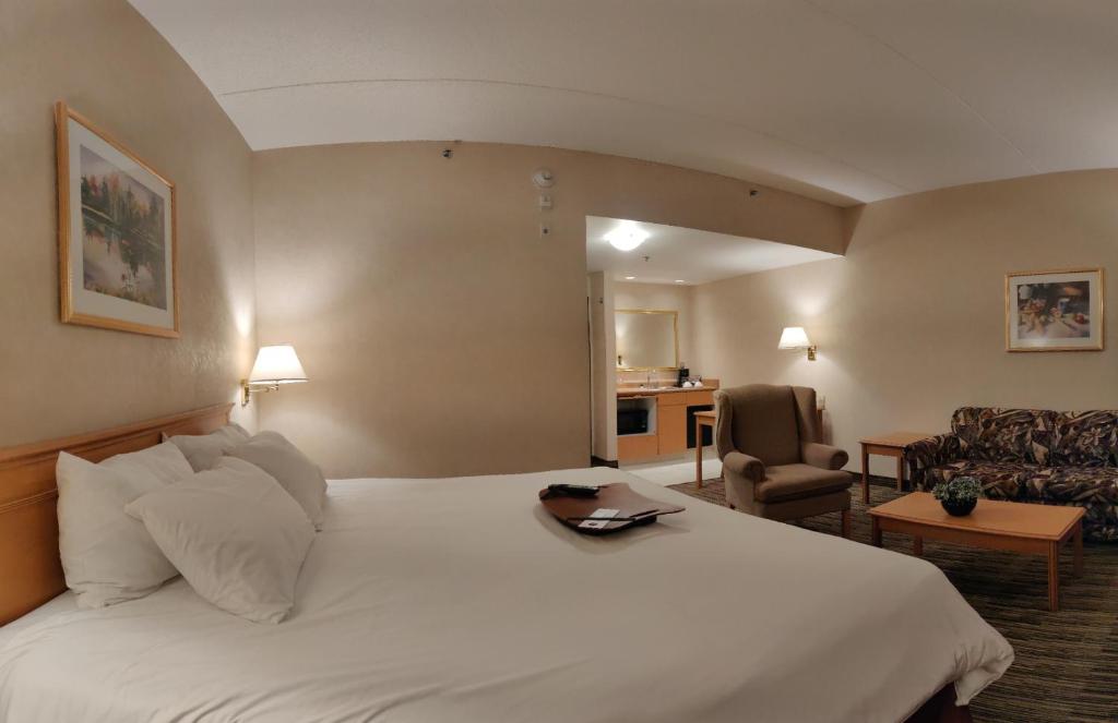 Studio, King Bed