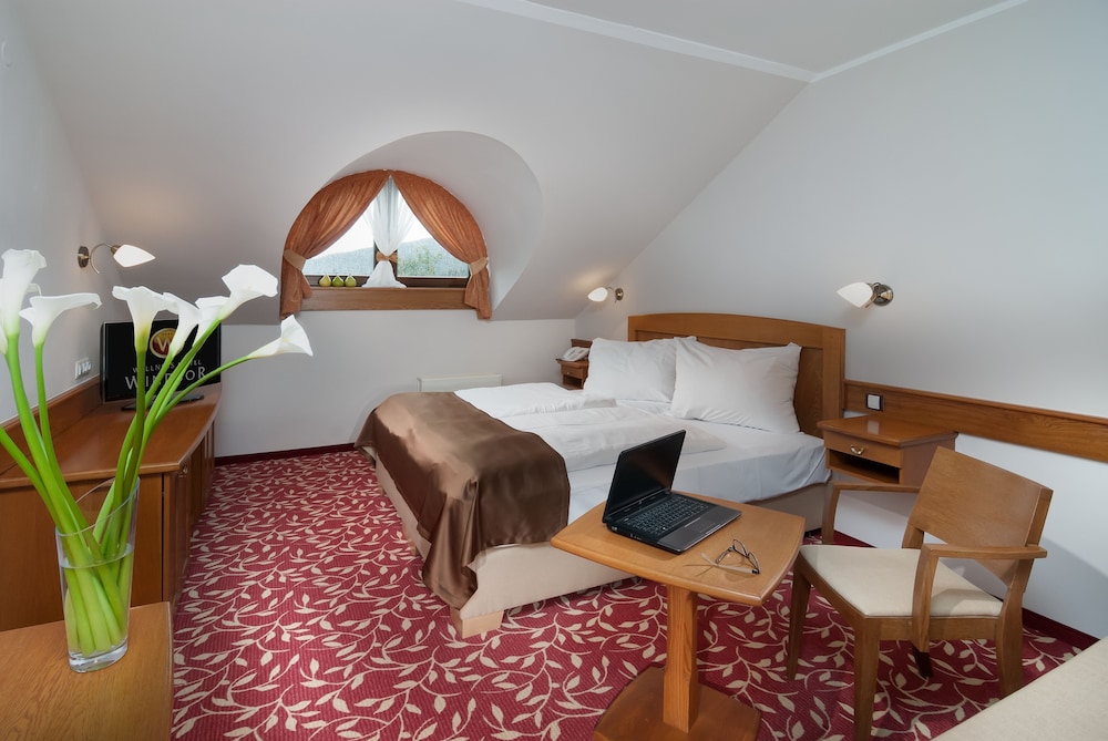 Wellness Hotel Windsor 42/63