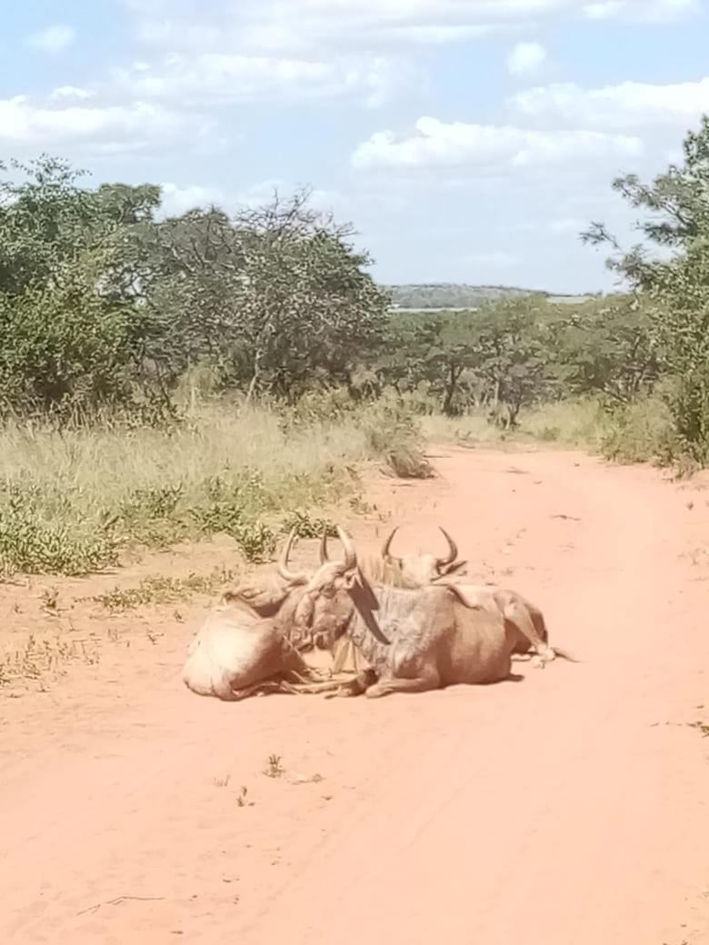 Moletani Game Ranch 33/50