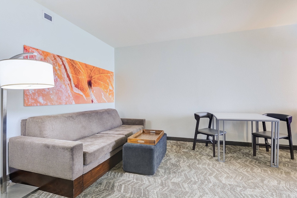 Springhill Suites Shreveport-Bossier City/Louisiana Downs 41/55