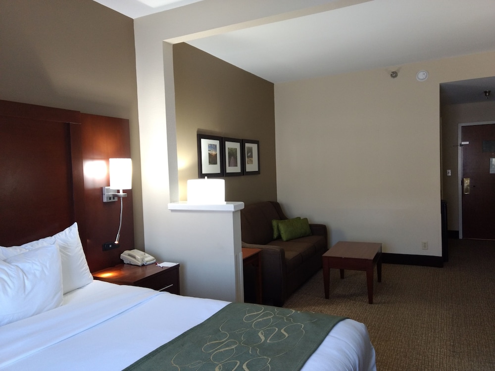 Comfort Suites Johnson City Near University 17/36