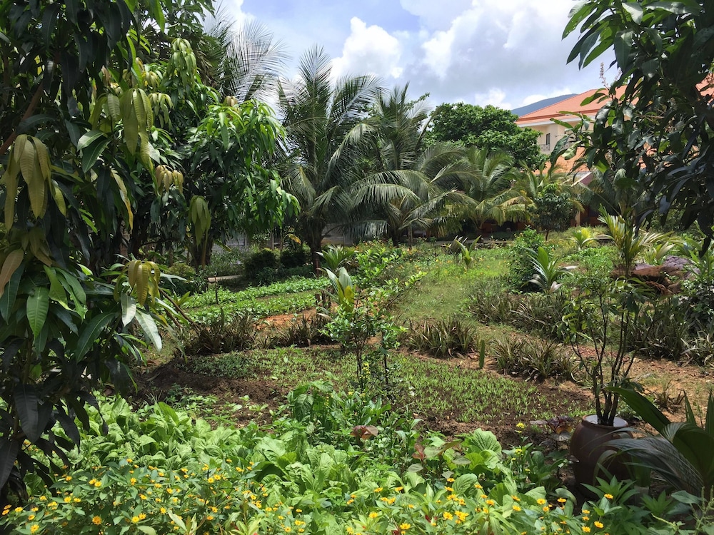 Tan Son Nhat Con Dao Resort 11/69