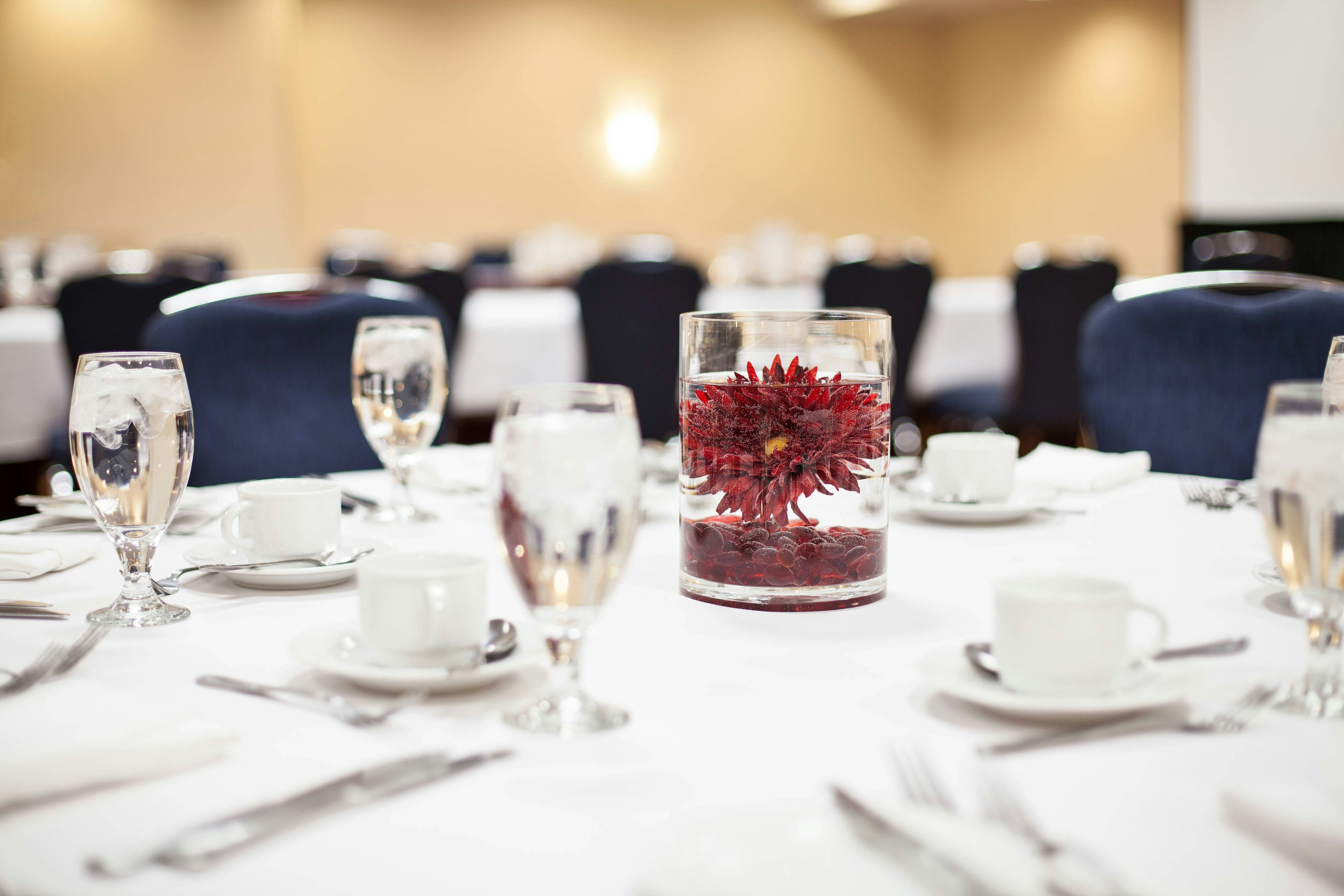 Ottawa Marriott Hotel 45/73