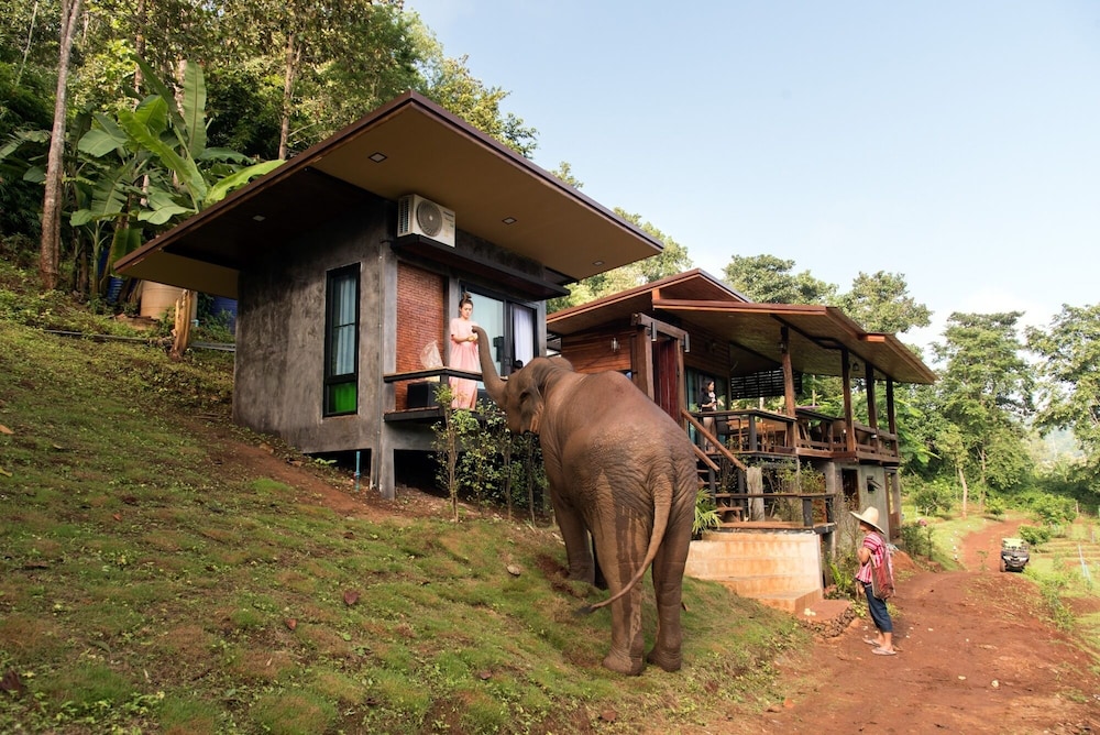 Chiang Mai Elephant Friends 43/50