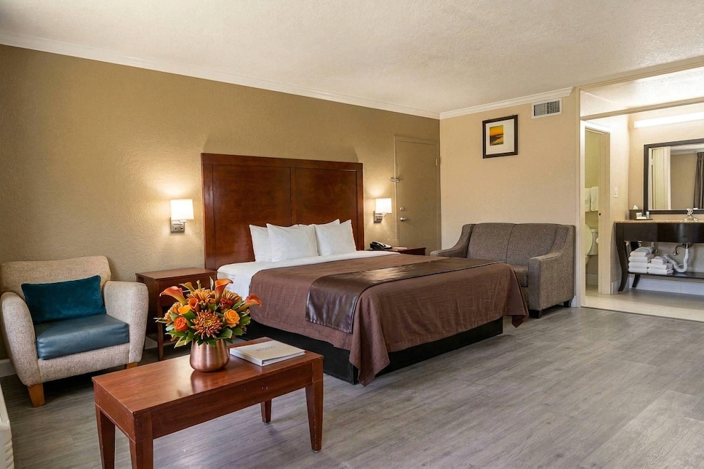Upgrade, Suite, King Bed
