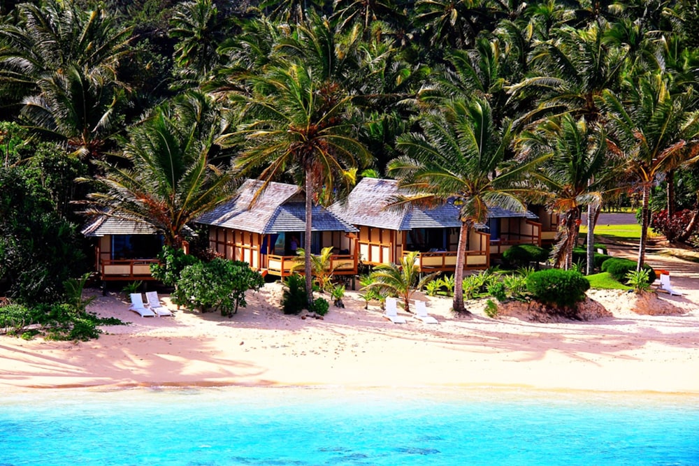 Palm Grove 57/68