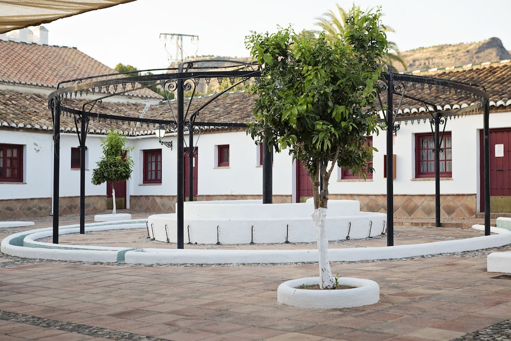 Cortijo del Arte 43/54