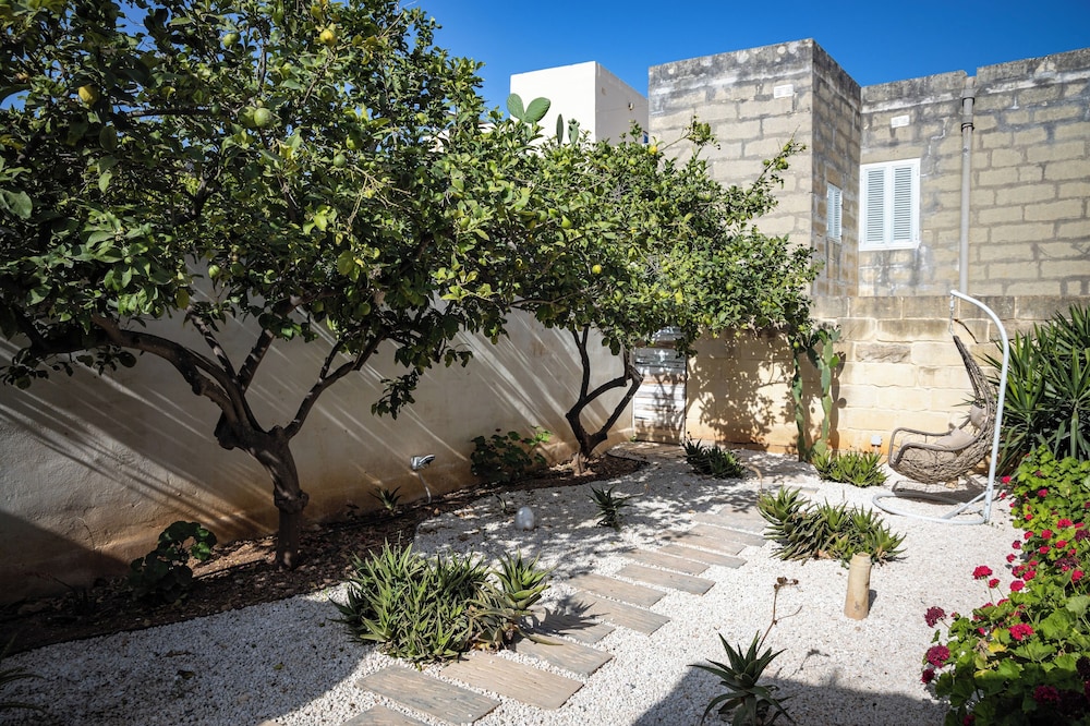 Lemon Tree Bed & Breakfast 26/30