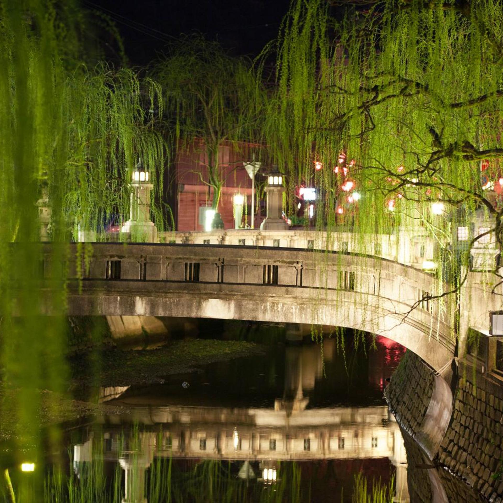 Kinosaki Onsen Ryokan Sensui 51/58