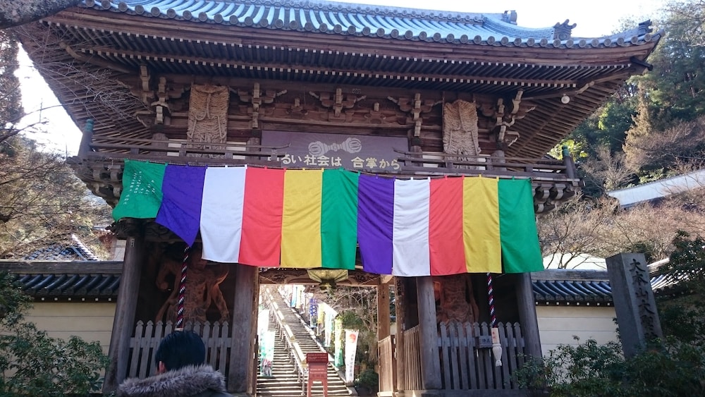 宮島コーラル 写真5