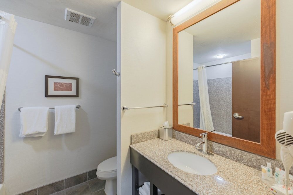 Comfort Suites Perrysburg - Toledo South 48/49