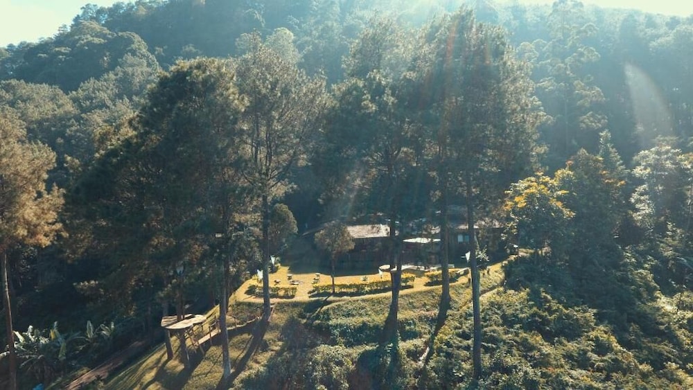 Masada Village 14/18