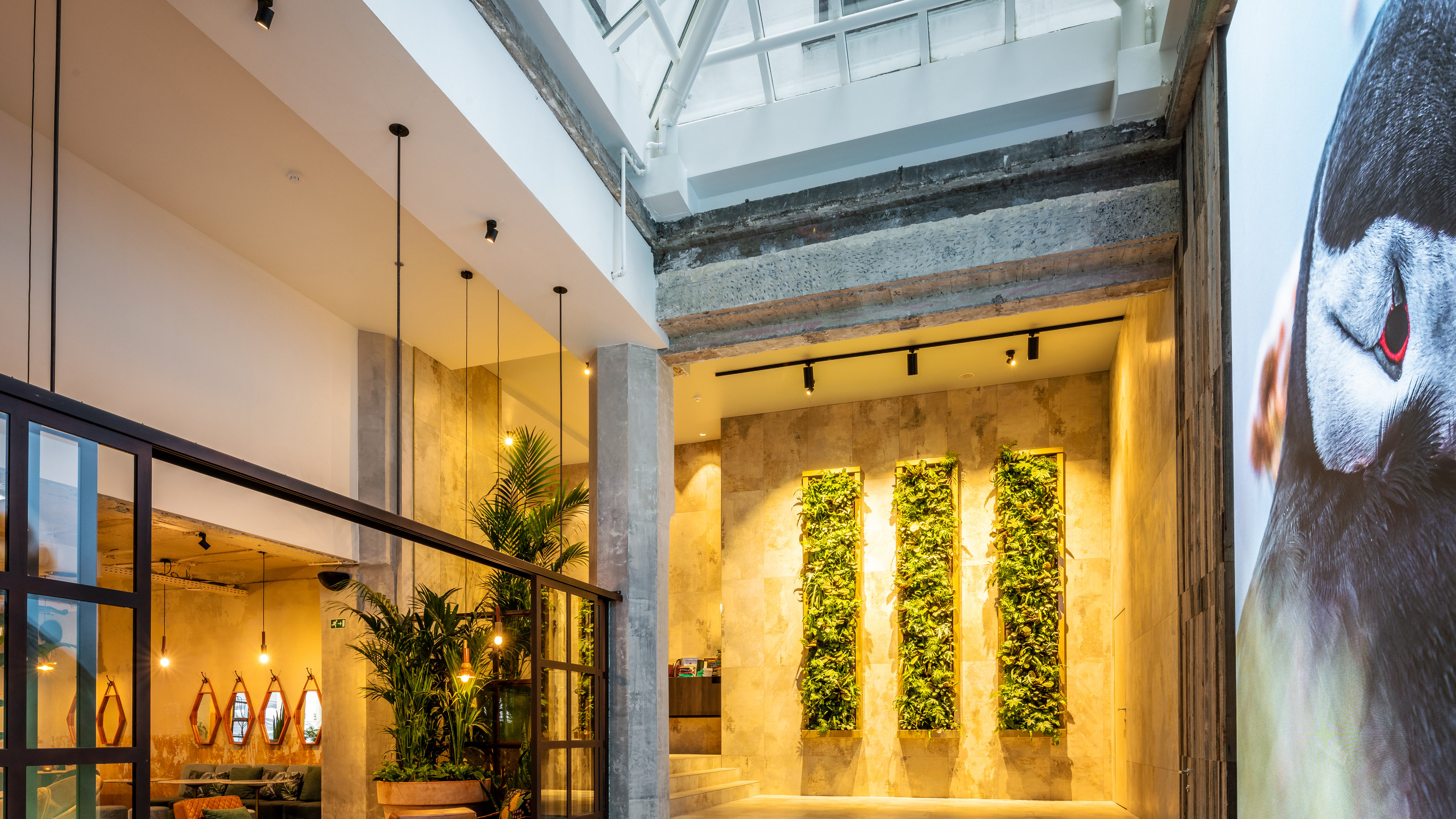 Hotel Indigo Brussels - City by IHG 6/50