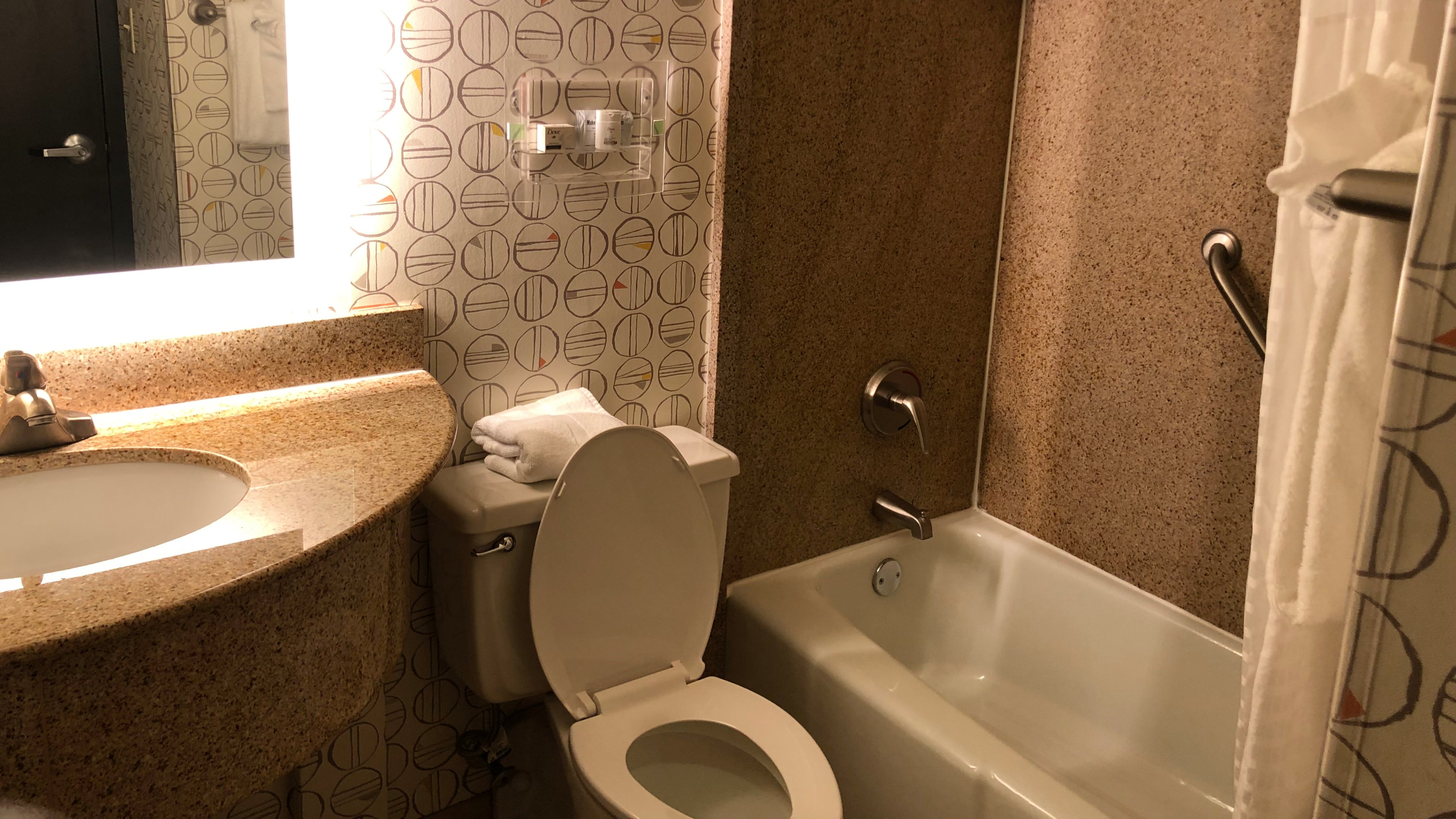 Holiday Inn Biltmore East 61/61