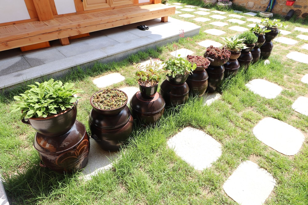 Nadul Hanok 42/50
