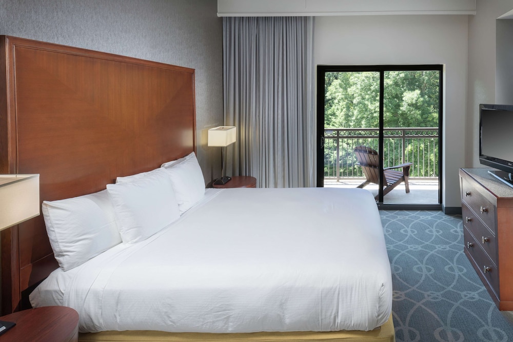 DoubleTree by Hilton Hotel Asheville Biltmore 18/68