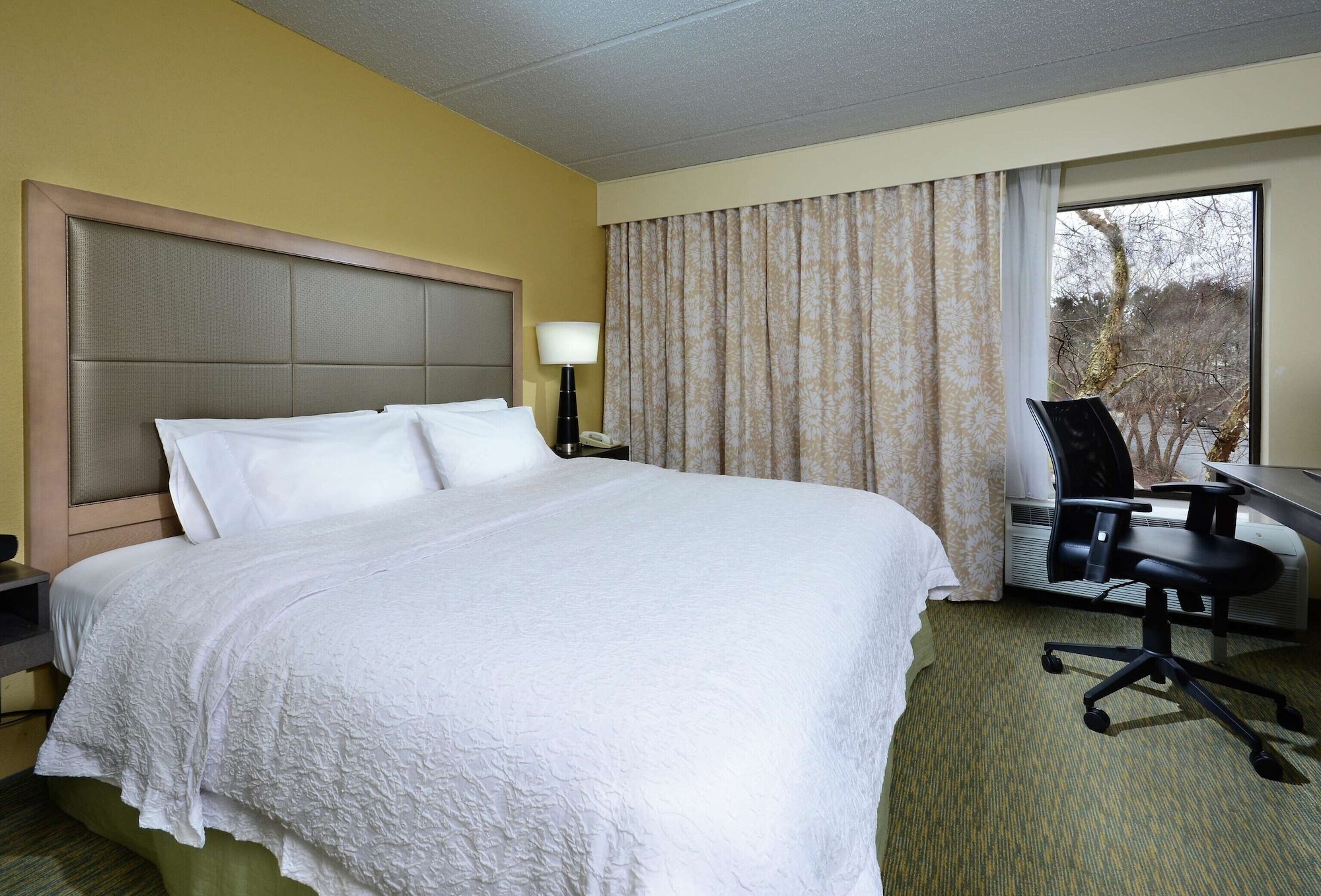 Studio, King Bed, Sofa, Accessible