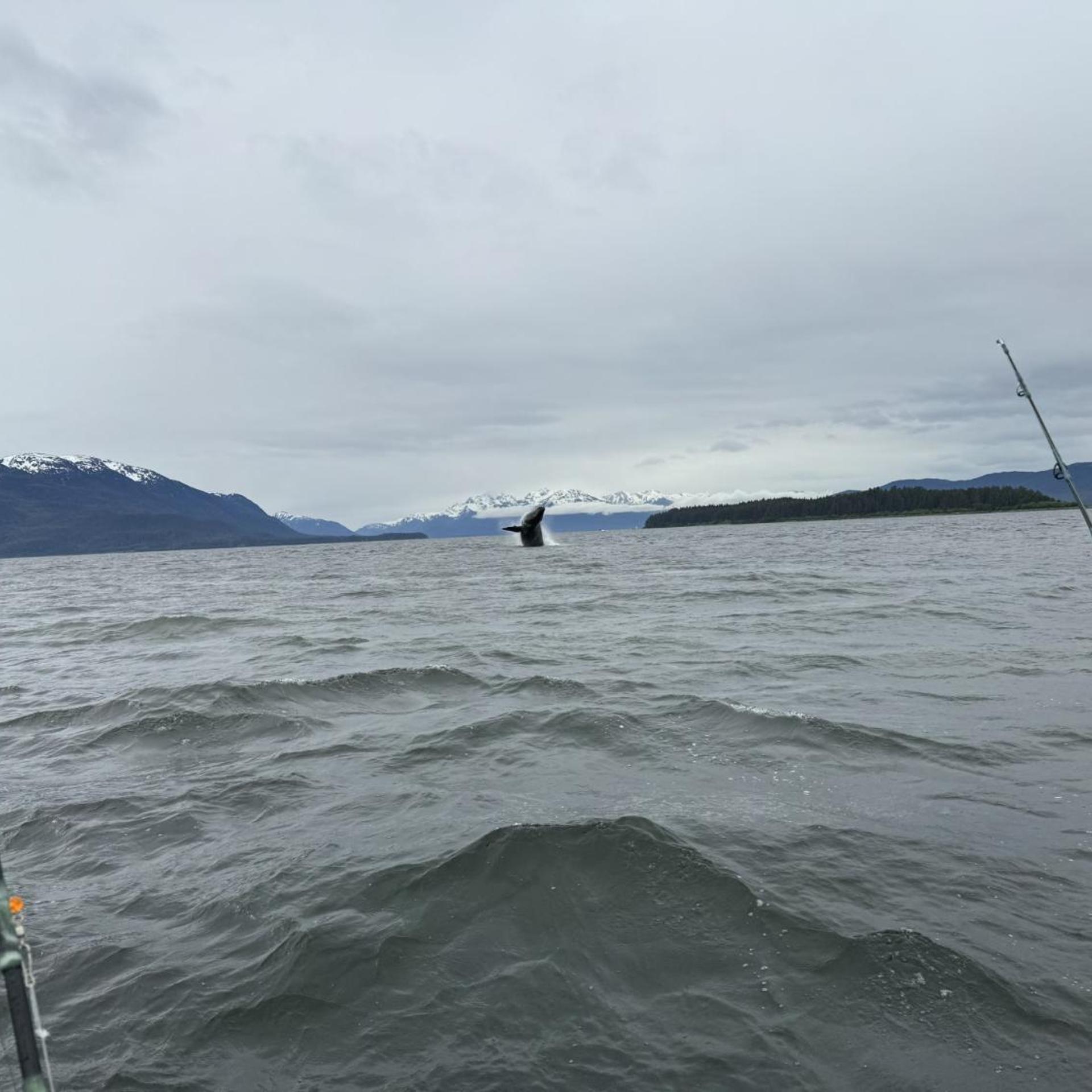 Waterfront on Glacier 43/50