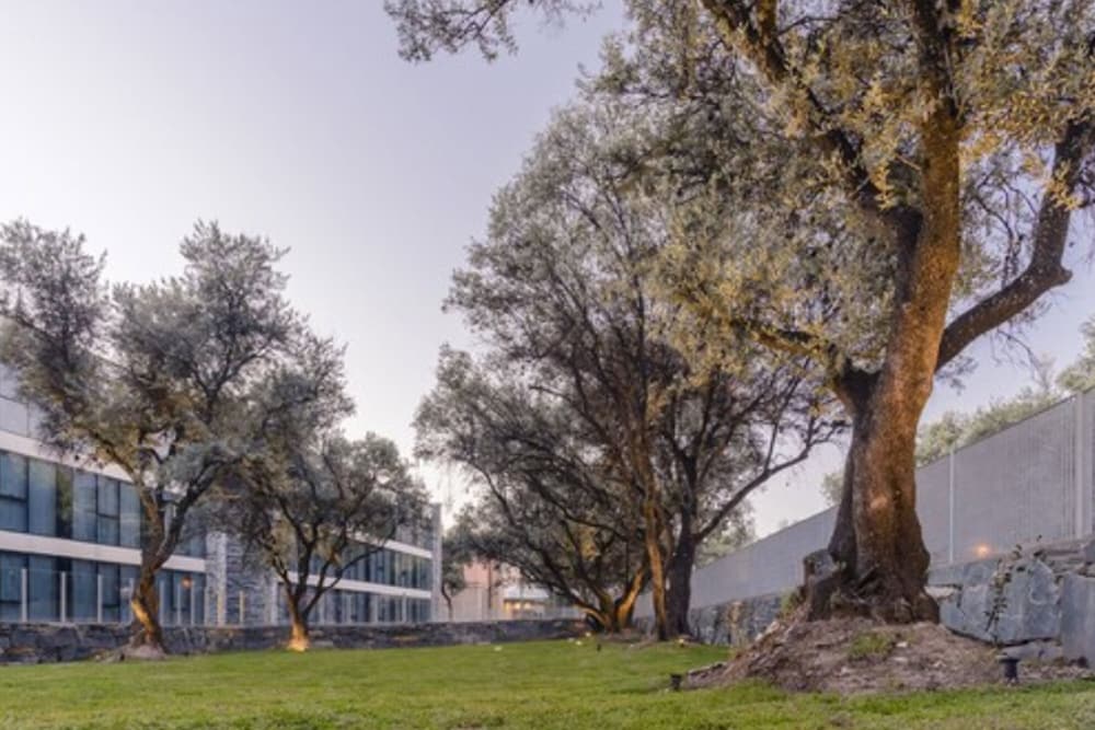 EPIC HOTEL VILLA DE MERLO 55/56