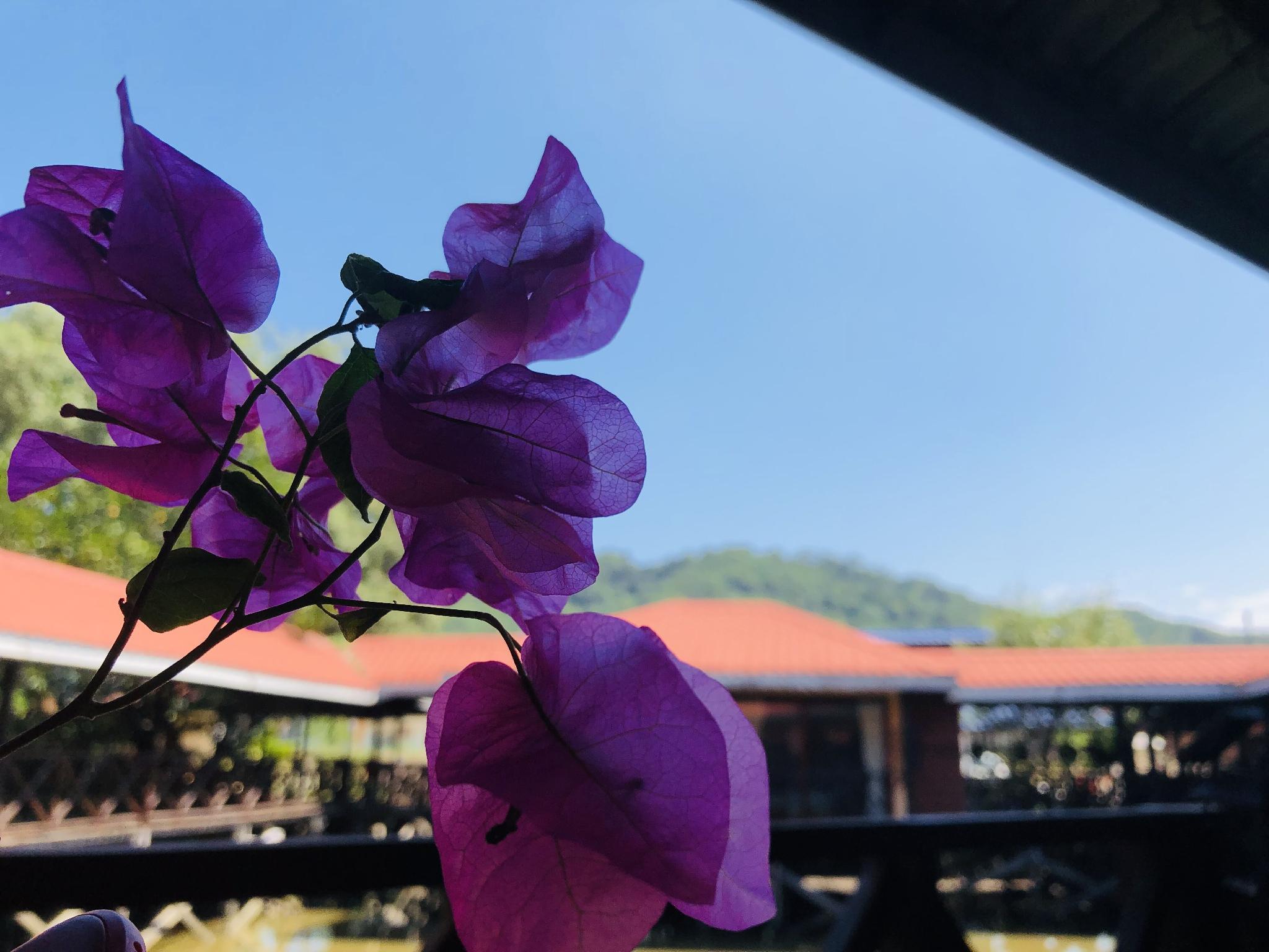 Gayang Friendly Water House Homestay 40/42