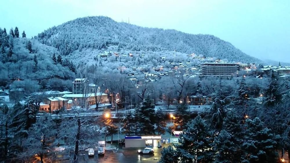 Borjomi Palace Hotel and Spa 47/50