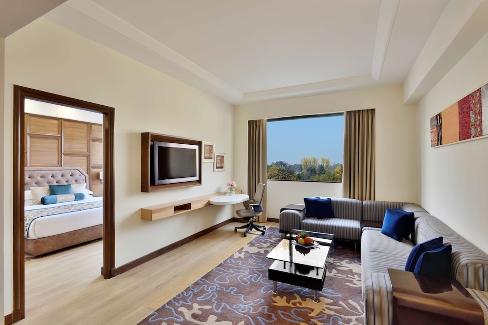Radisson Srinagar 37/54