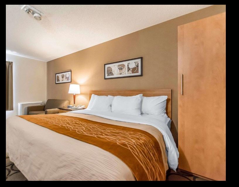 Room, King Bed