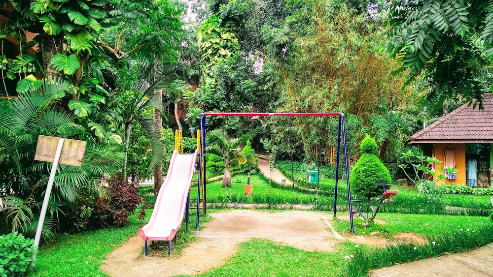 Abad Green Forest 25/50