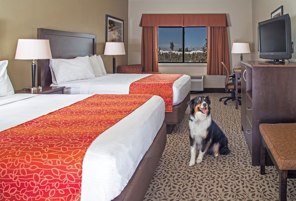 Gray Wolf Inn And Suites 9/67