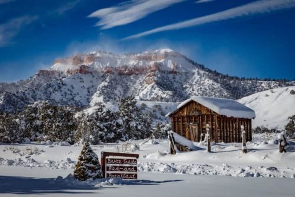 Bryce Trails Bed and Breakfast، سيدار سيتي 39/50