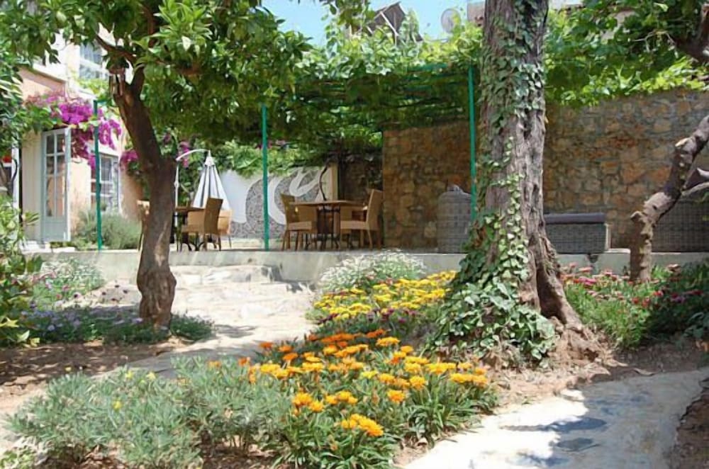 Villa Tulipan 39/50