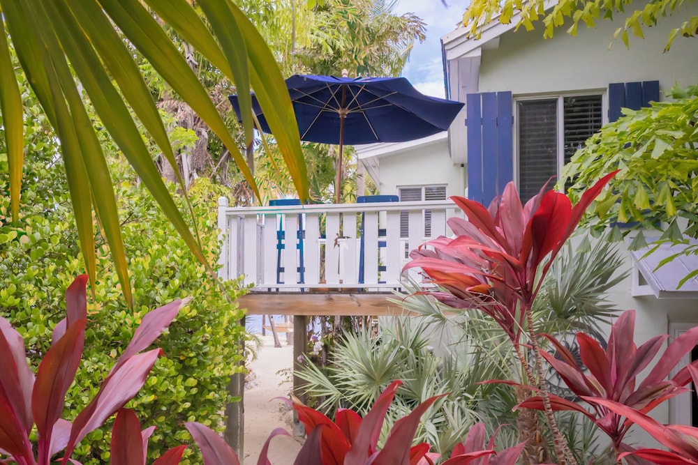Coconut Palm Inn 2/50