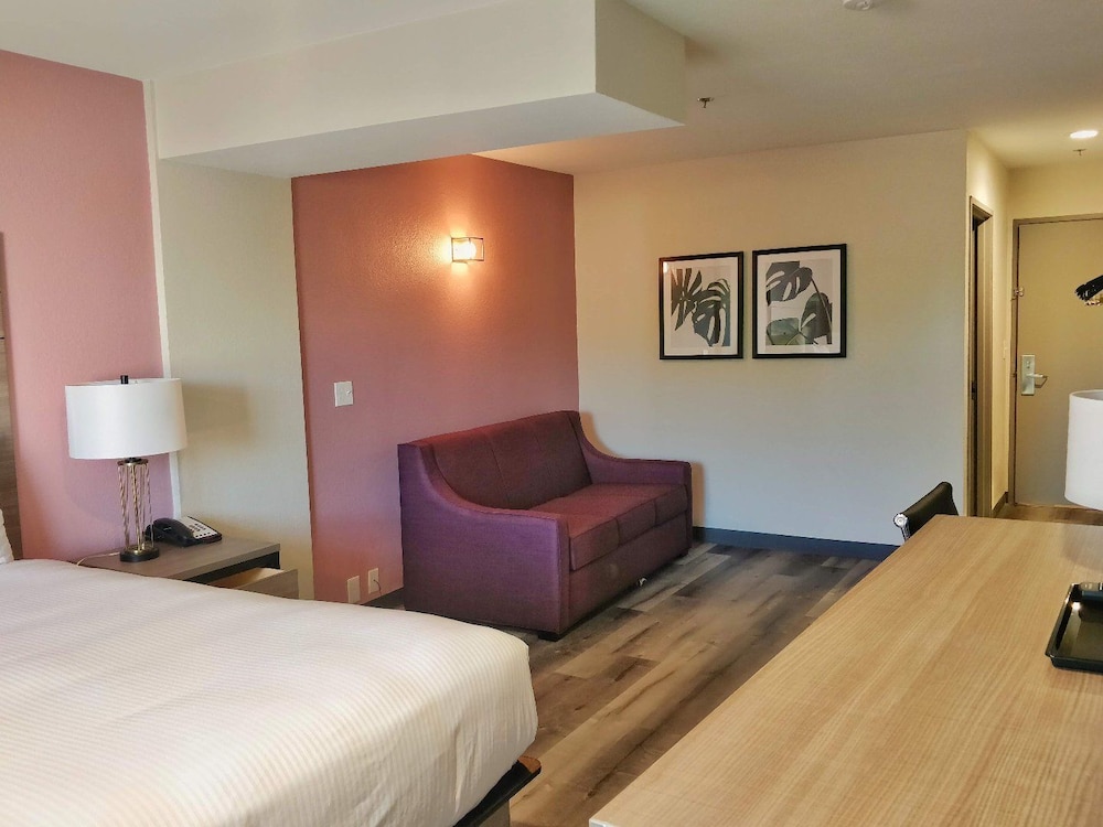 SUITE, QUEEN BED, SOFA