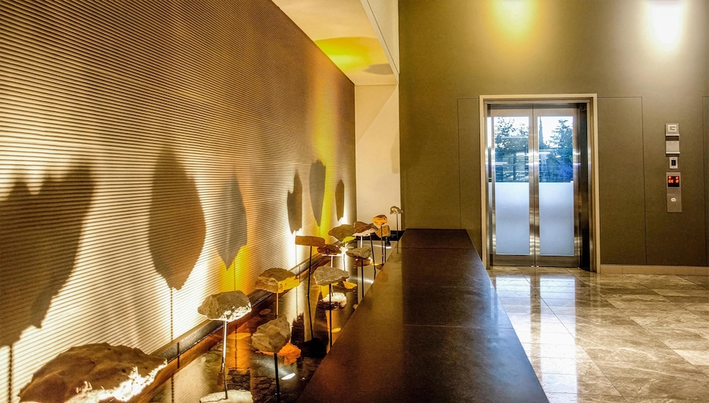 Southern Sun Hyde Park Sandton 19/48