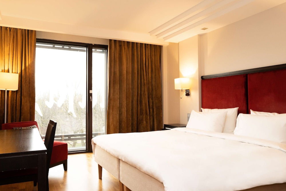 Radisson Blu Elizabete Hotel 18/50