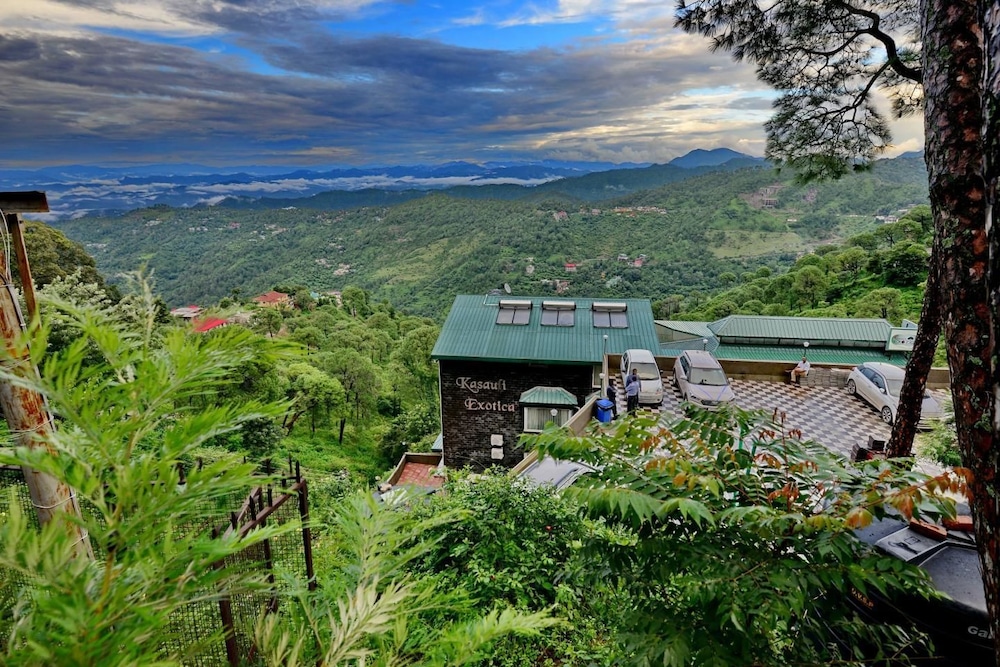 UNA COMFORT KASAULI EXOTICA 37/50
