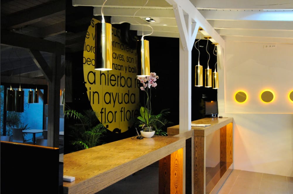 Hostal Domus 5/36