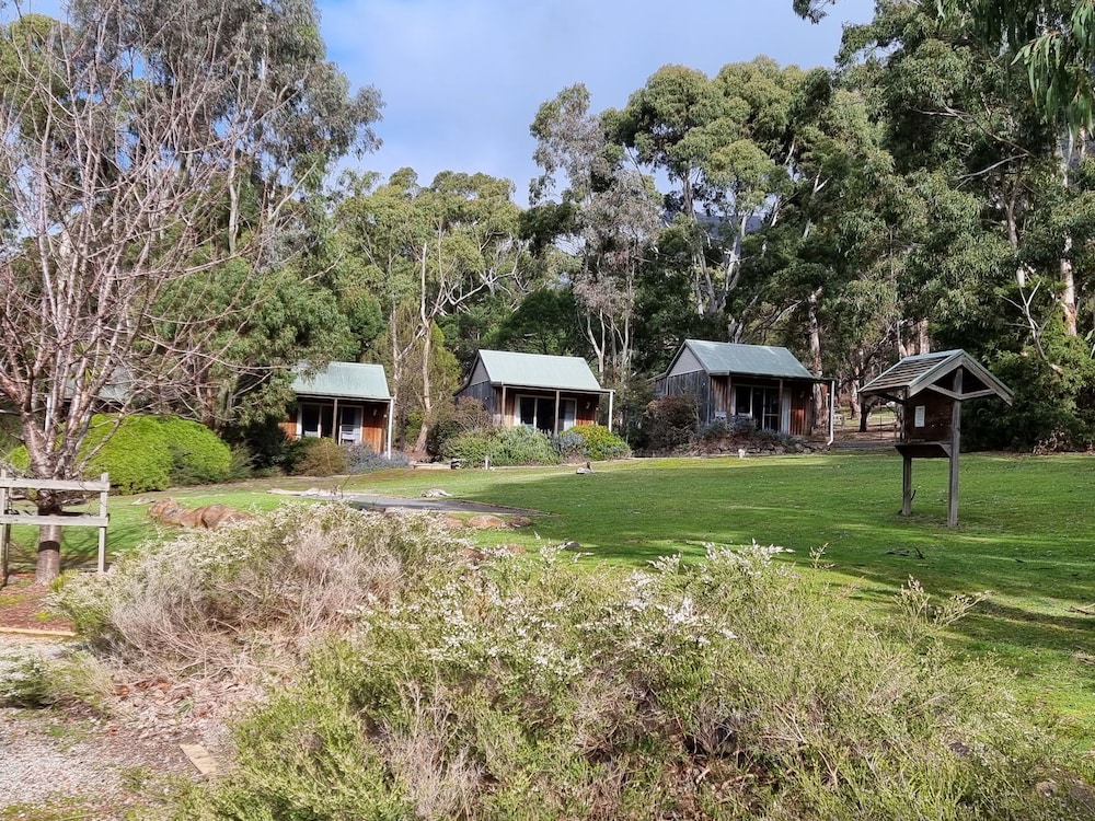 D'Altons Resort 7/50