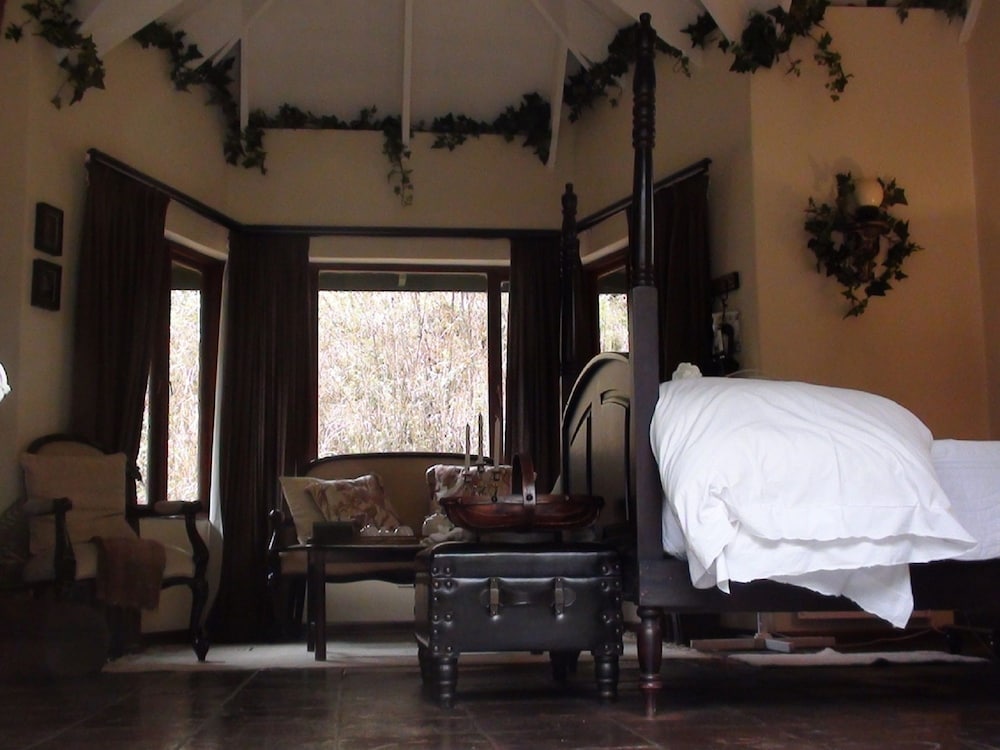 Forest Creek Lodge &amp; Spa 26/50