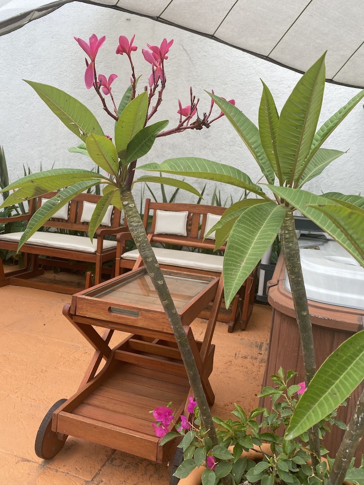 Colibri Hotel B&B 25/39