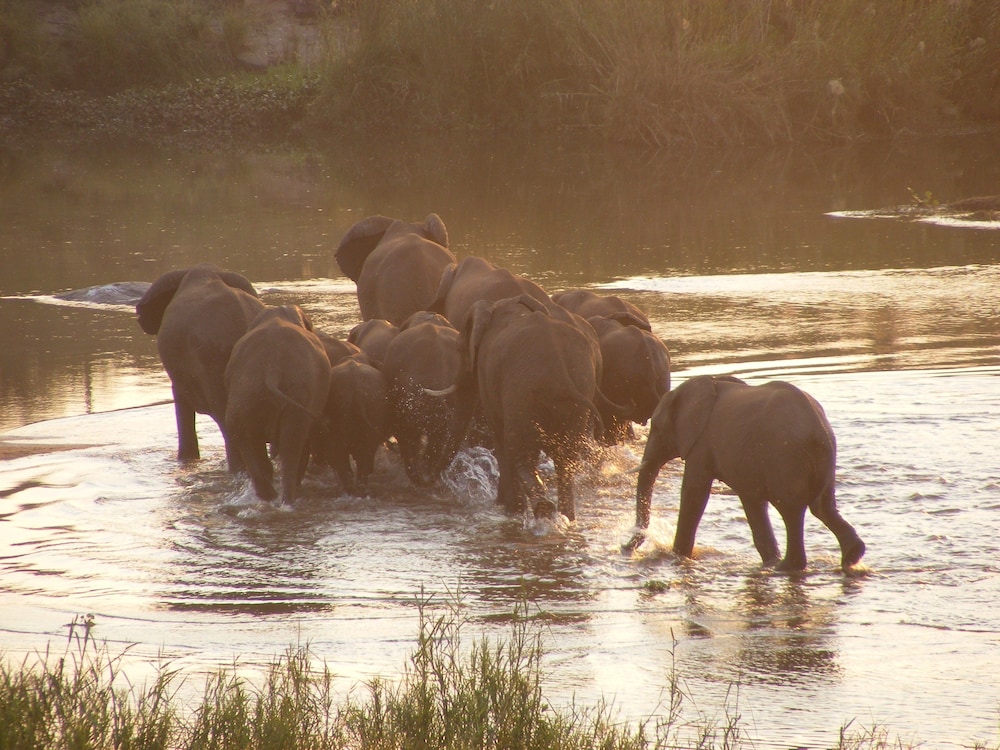 Elephant Walk Retreat 41/50