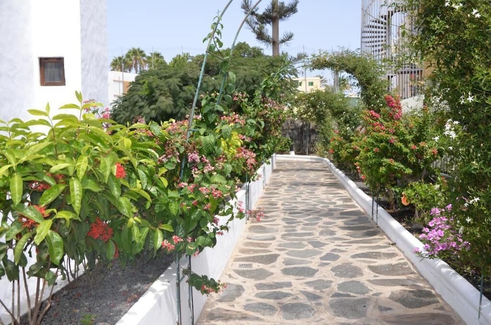 Alsol Las Orquideas 37/45