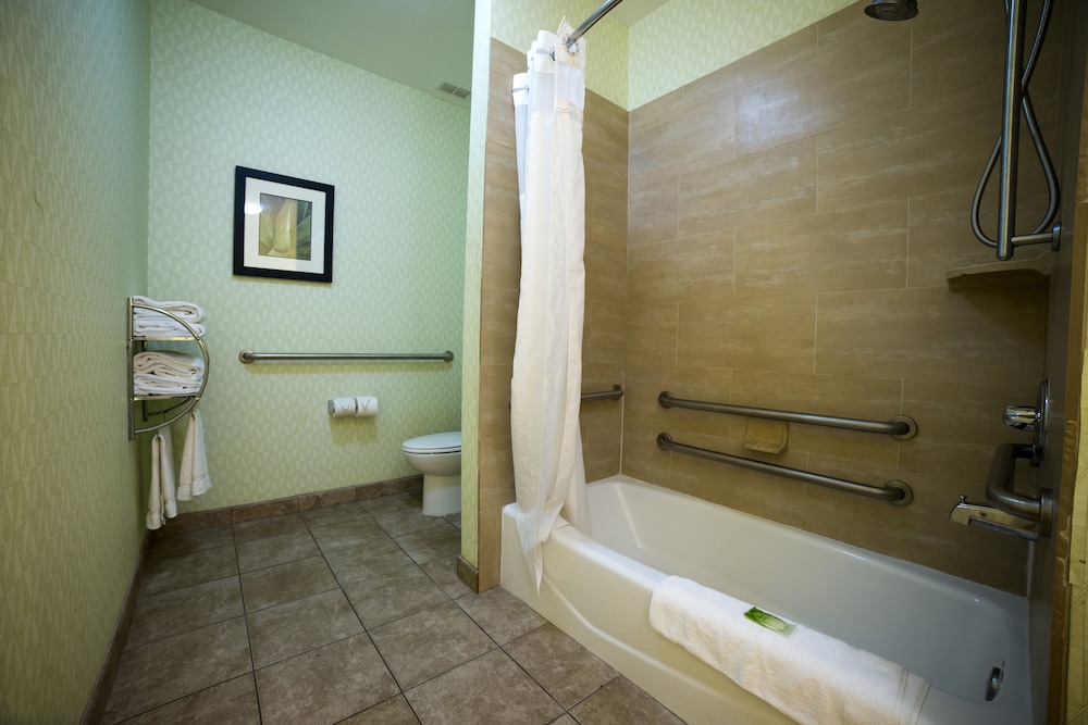 Holiday Inn Express Hotel Suites Atlanta East Lithonia 21/66