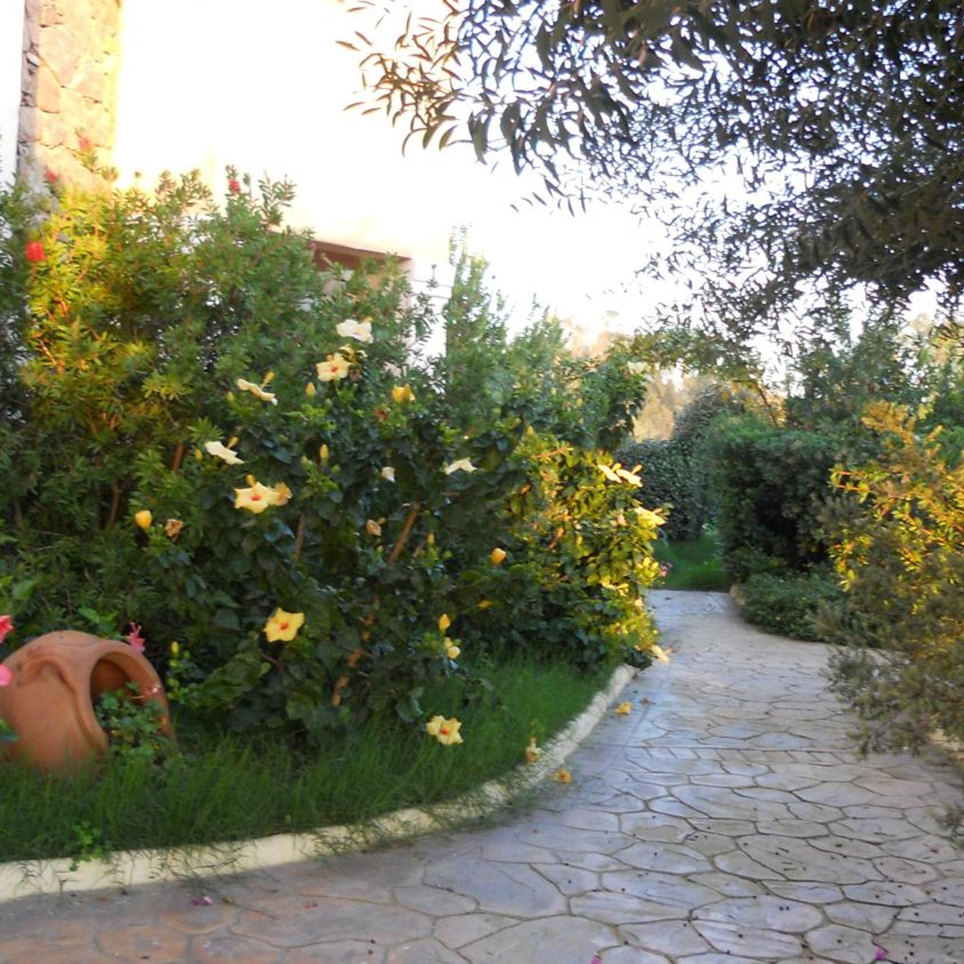 Maria Caderina Green Village 43/50