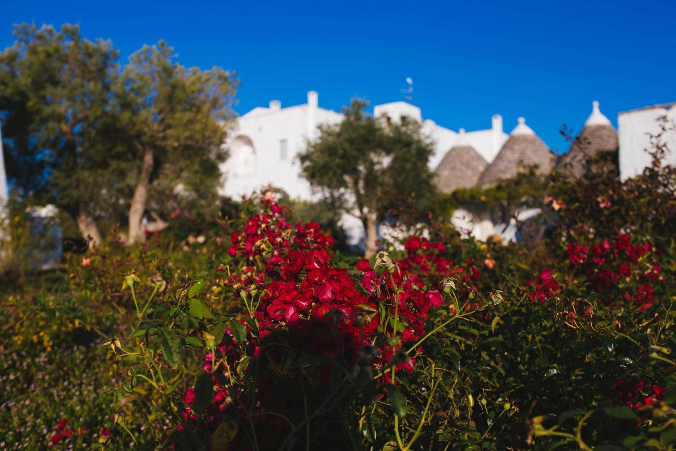 MASSERIA CERVAROLO 51/54
